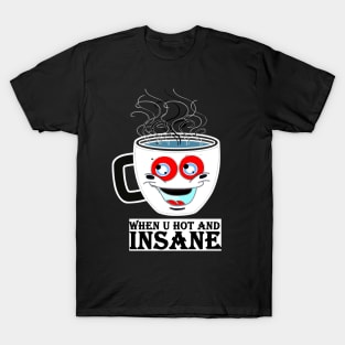 when you are hot and insane T-Shirt